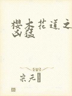 樱木花道之重生凶猛