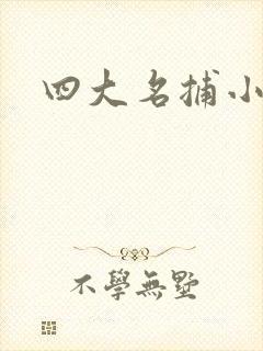 四大名捕小说