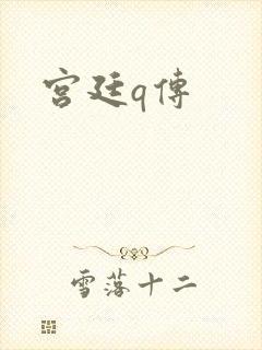 宫廷q传