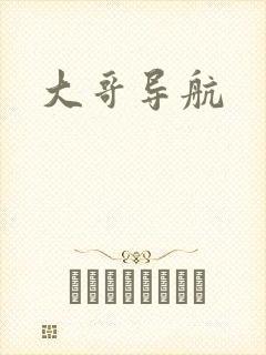 大哥导航封面
