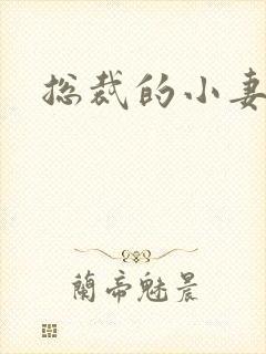 总裁的小妻子