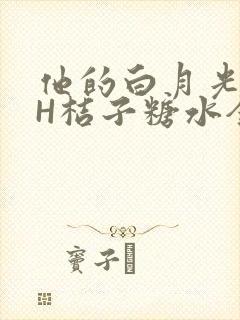 他的白月光HVH桔子糖水全文