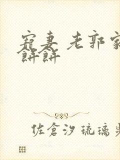 宠妻 老郭家的饼饼封面