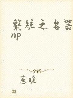 系统之名器攻略np