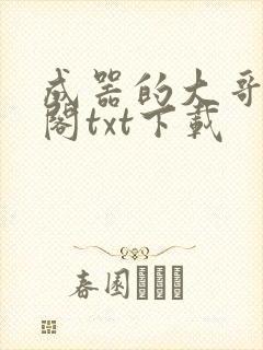 成器的大哥笔趣阁txt下载