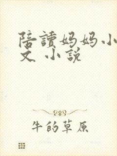 陪读妈妈小说全文 小说