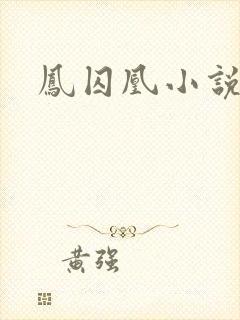 凤囚凰小说