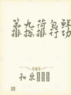 第九荷包鲜辣肉排总排行功能介绍