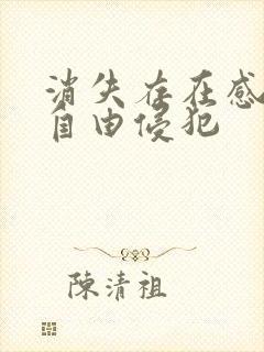 消失存在感消失自由侵犯