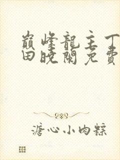 巅峰龙主丁长顺田晓兰免费阅读