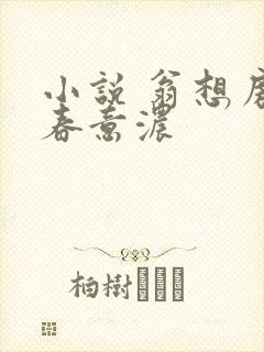 小说 翁想房中春意浓