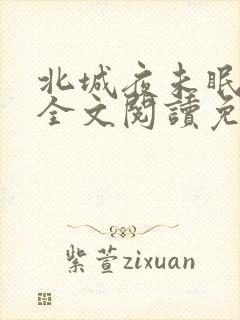 北城夜未眠小说全文阅读免费