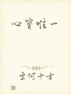 心宝唯一