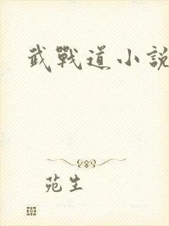 武战道小说
