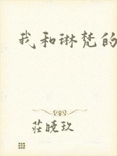 我和琳梵的故事