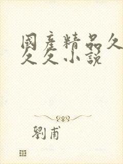 国产精品久久久久久小说