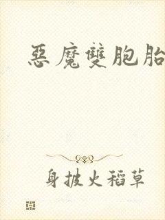 恶魔双胞胎封面