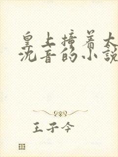 皇上撞着太子妃沈音的小说叫什么