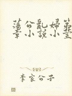 荡公乱妇第51章小说小莹