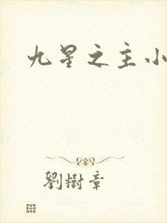 九星之主小说