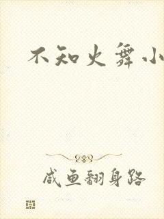 不知火舞小男孩