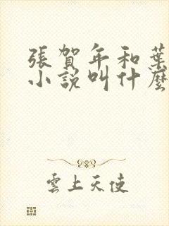 张贺年和叶繁姿小说叫什么名字