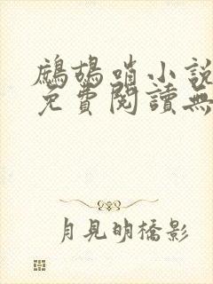 鹧鸪哨小说网站免费阅读无弹窗