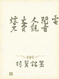 《烟火人间电视剧免费观看》小说封面