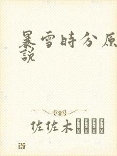 暴雪时分原著小说