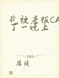 我被老板CAO了一晚上