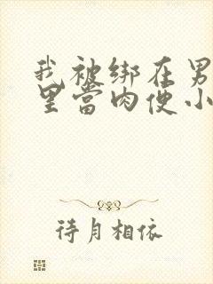 我被绑在男公厕里当肉便小说