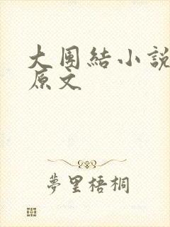 大团结小说阅读原文封面