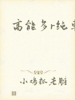 高能多r纯车