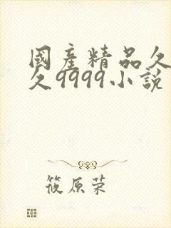 国产精品久久久久9999小说