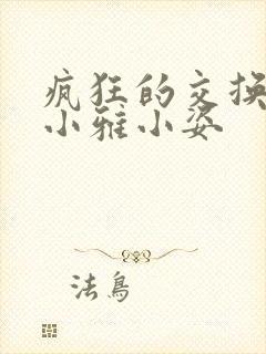 疯狂的交换小静小雅小姿