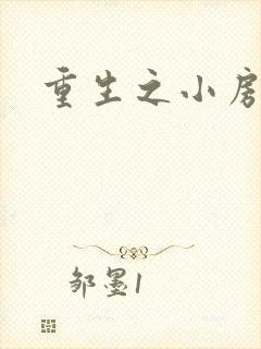 重生之小房东