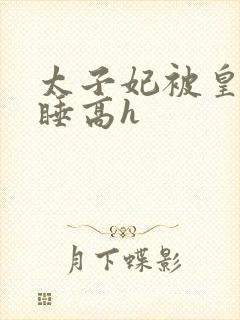 太子妃被皇上强睡高h