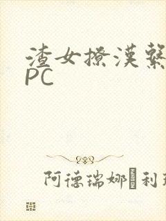 渣女撩汉系统NPC