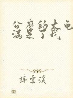 公么的大龟强大满足了我