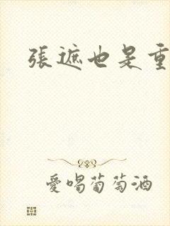 张遮也是重生吗