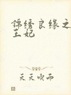 锦绣良缘之北地王妃