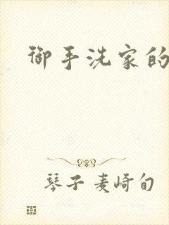 御手洗家的墙洞