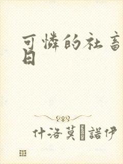 可怜的社畜东度日