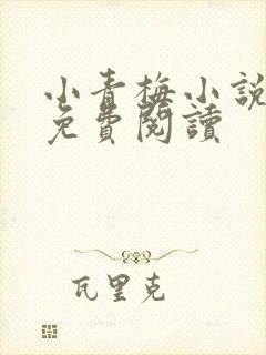 小青梅小说全文免费阅读