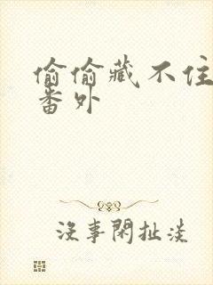 偷偷藏不住新婚番外