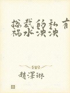 总裁的私有宝贝祸水泱泱封面