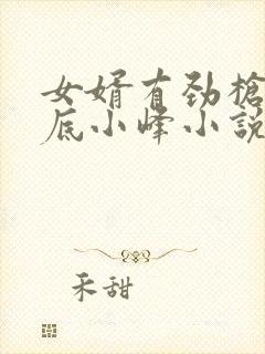 女婿有劲枪枪到底小峰小说