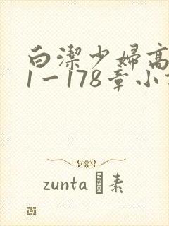 白洁少妇高义第1一178章小说