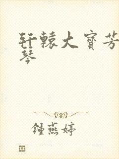 轩辕大宝芳菲雅琴