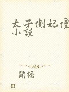 太子侧妃傻乎乎小说